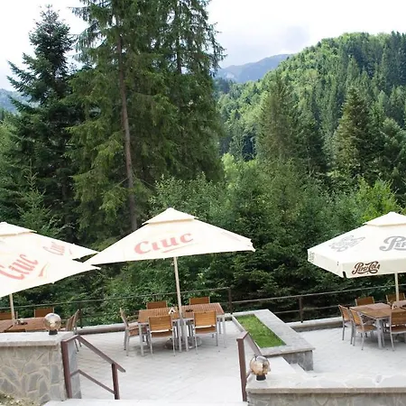 Гостьовий будинок Topaz Брашов
